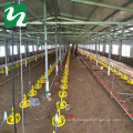 Poultry Farm Equipment Chicken Broiler Feeders and Drinkers with Cup